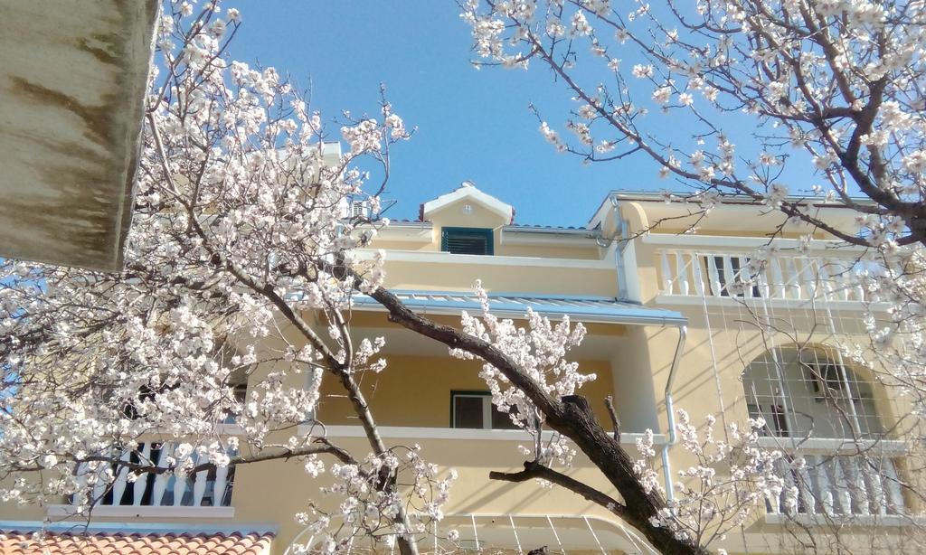 Apartments Meri Vodice Kültér fotó